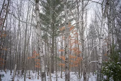 5970 E 68th Street, Chase, MI 49623 - Photo 27