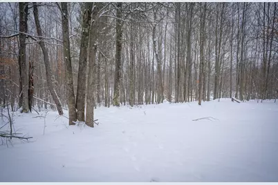 5970 E 68th Street, Chase, MI 49623 - Photo 11