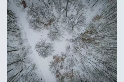 5970 E 68th Street, Chase, MI 49623 - Photo 9