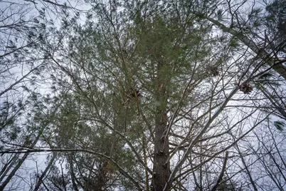 5970 E 68th Street, Chase, MI 49623 - Photo 21