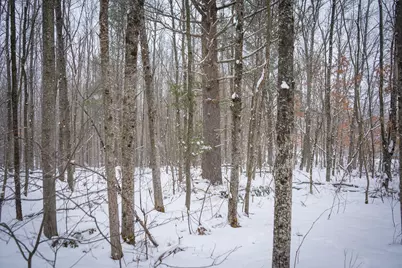 5970 E 68th Street, Chase, MI 49623 - Photo 23