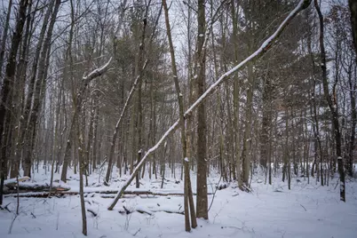 5970 E 68th Street, Chase, MI 49623 - Photo 19