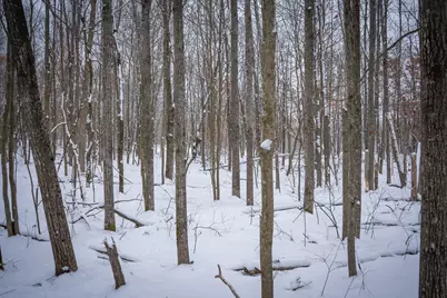 5970 E 68th Street, Chase, MI 49623 - Photo 17