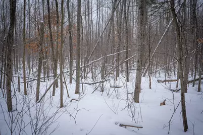 5970 E 68th Street, Chase, MI 49623 - Photo 13