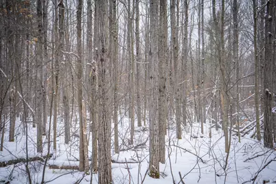 5970 E 68th Street, Chase, MI 49623 - Photo 15