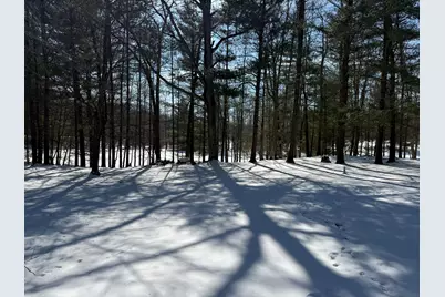 8493 W 5 Mile Road, Irons, MI 49644 - Photo 19