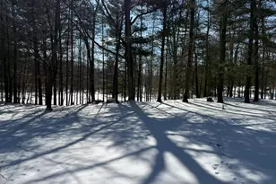 8493 W 5 Mile Rd, Irons, MI 49644 - Photo 19