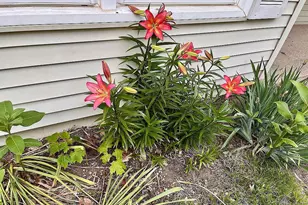 2428 S 14th St, Niles, MI 49120 - Photo 29