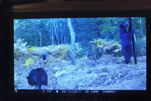 1408 Turtle Lake Rd, Gaylord, MI 49735 - Photo 67