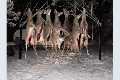 1408 Turtle Lake Road, Gaylord, MI 49735 - Photo 63