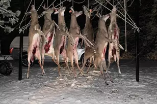 1408 Turtle Lake Rd, Gaylord, MI 49735 - Photo 63