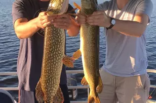 1408 Turtle Lake Rd, Gaylord, MI 49735 - Photo 61