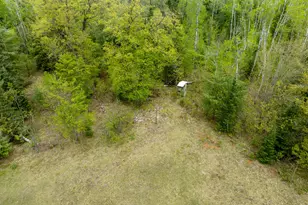 1408 Turtle Lake Rd, Gaylord, MI 49735 - Photo 43