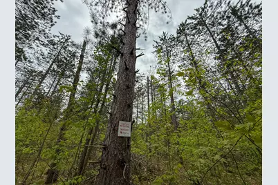 1408 Turtle Lake Road, Gaylord, MI 49735 - Photo 51