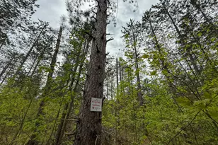 1408 Turtle Lake Rd, Gaylord, MI 49735 - Photo 51