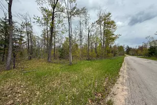 1408 Turtle Lake Rd, Gaylord, MI 49735 - Photo 59