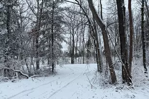 Steinberg Rd, Wellston, MI 49689 - Photo 1