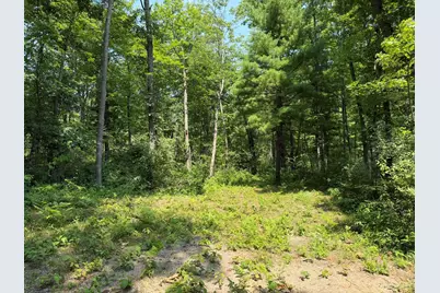 Steinberg Road, Wellston, MI 49689 - Photo 3