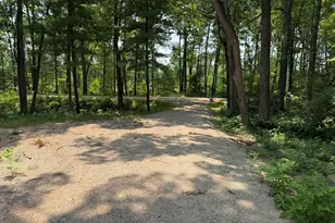 Steinberg Rd, Wellston, MI 49689 - Photo 1