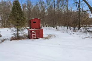 3879 Shamrock Dr, Lapeer, MI 48446 - Photo 51