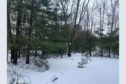 121 W Pierce Drive, White Cloud, MI 49349 - Photo 9