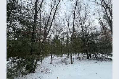 121 W Pierce Drive, White Cloud, MI 49349 - Photo 5