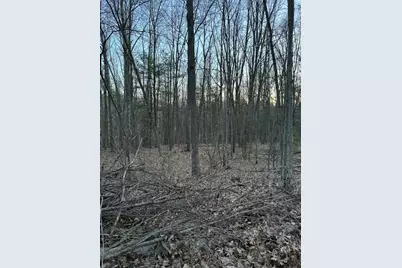 V/L S Tyndall Road, Branch, MI 49402 - Photo 5