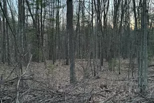 V/L S Tyndall Rd, Branch, MI 49402 - Photo 5