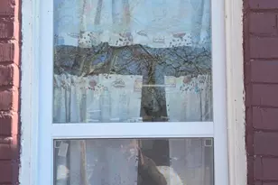 13960 Northlawn St, Detroit, MI 48238 - Photo 5