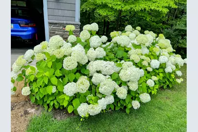 12294 Cranes Avenue, Richland, MI 49083 - Photo 49