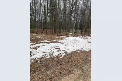 West Fox Farm Road, Manistee, MI 49660 - Photo 3
