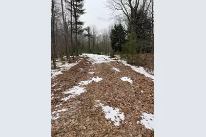 West Fox Farm Road, Manistee, MI 49660 - Photo 1