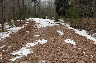 West Fox Farm Rd, Manistee, MI 49660 - Photo 1