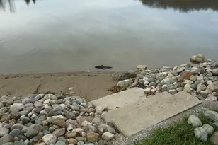 14600 W Diane Dr, Camden, MI 49232 - Photo 105