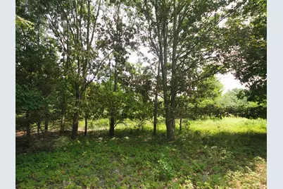 Parcel C 16th Avenue, Grand Junction, MI 49056 - Photo 15