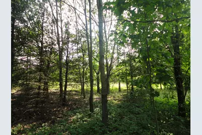 Parcel C 16th Avenue, Grand Junction, MI 49056 - Photo 13