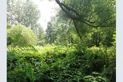 Parcel C 16th Avenue, Grand Junction, MI 49056 - Photo 7