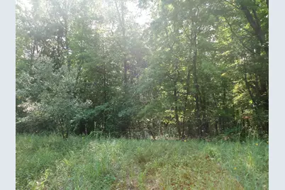 Parcel C 16th Avenue, Grand Junction, MI 49056 - Photo 5