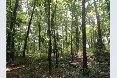 Parcel C 16th Avenue, Grand Junction, MI 49056 - Photo 3