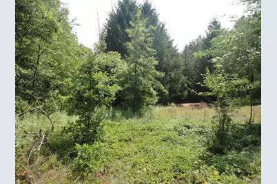 Parcel C 16th Avenue, Grand Junction, MI 49056 - Photo 9