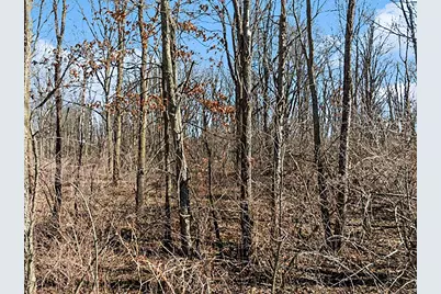 Mill Street, Albion, MI 49224 - Photo 5