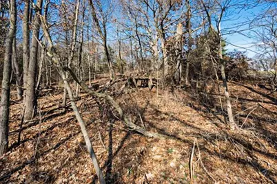 State Street, Albion, MI 49224 - Photo 3