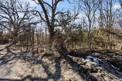 State Street, Albion, MI 49224 - Photo 3