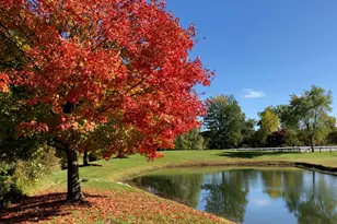 1246 Rose Center Rd, Fenton, MI 48430 - Photo 107