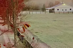 1246 Rose Center Rd, Fenton, MI 48430 - Photo 127