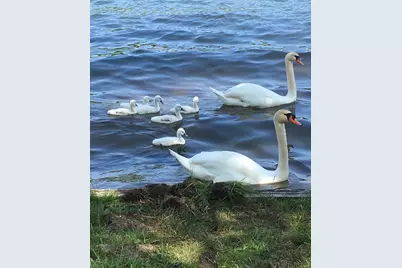 2055 N White Birch Drive, Mears, MI 49436 - Photo 17