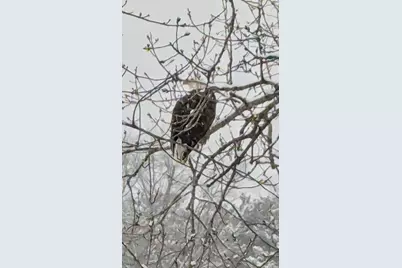 2055 N White Birch Drive, Mears, MI 49436 - Photo 21