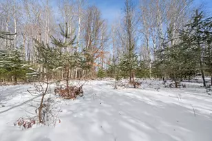 22132 15th Ave, Sears, MI 49679 - Photo 23