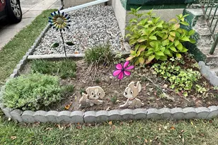 335 Laprairie St, Ferndale, MI 48220 - Photo 27