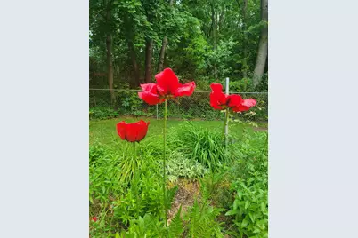 165 Thelma Drive, Battle Creek, MI 49014 - Photo 27